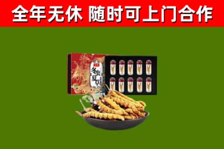 牡丹江市回收冬虫夏草价格